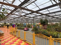 -南宫五洲植物乐园