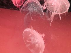 -沈阳海洋探索中心