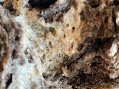 -好利来(团结湖店)