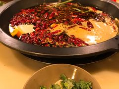 -黄潇洒老火锅(九眼桥宏济巷店)