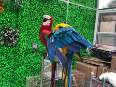 -陕西自然博物馆