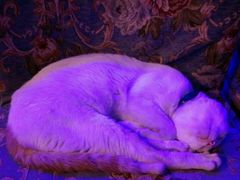 -星宿秘码(鼓浪屿老店)