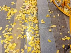 -长江路历史文化街区