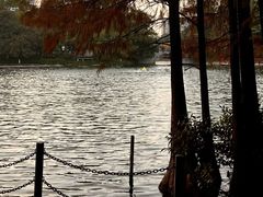 -荔湾湖公园