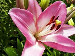 -长春公园(普阳街道)