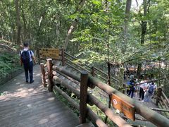 -天目湖山水园
