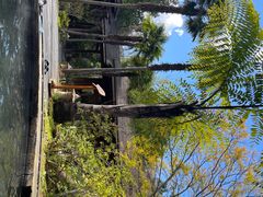 -昆明柏联SPA温泉