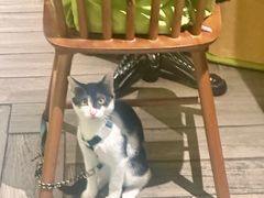 -COTTON CAFE(德信·中外公寓店)