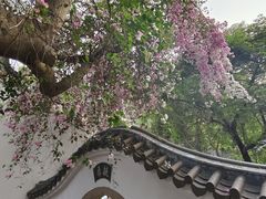 -深圳国际园林花卉博览园