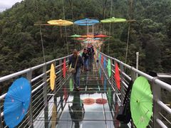 -九龙江国家森林公园