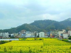 -新安江山水画廊风景区