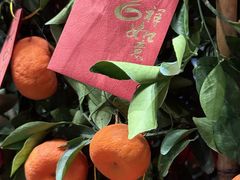 -博林天瑞喜来登酒店·西丽尚膳