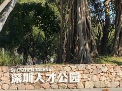 -深圳人才公园