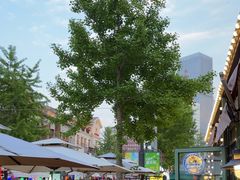 -巴伐利亚啤酒坊(意式风情街店)