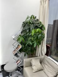 -MT美发沙龙工作室