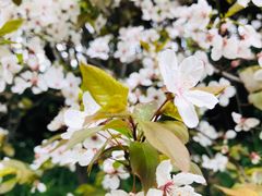 -上海市龙华烈士陵园