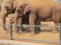 -石家庄市动物园