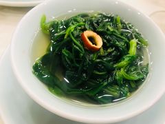 农场有机时蔬-庄隐阁(悠方广场店)