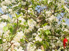 -元大都城垣遗址公园