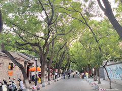 -北京国子监胡同