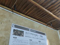-张关合渣(航空大道店)