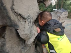 -宾果蒙特梭利托育儿童之家幼儿园(爱琴海店)