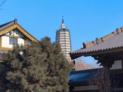 -舍利塔滩地公园-无垢净光舍利塔