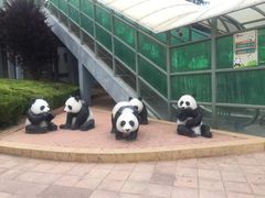 -大连森林动物园熊猫馆纪念品商店