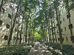 -北京国家会计学院