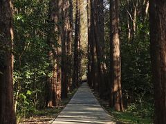 -同里国家湿地公园