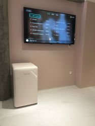 -本小姐美学·半永久纹眉野生眉