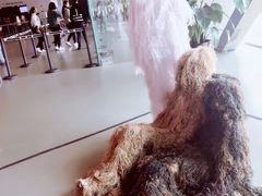 -上海当代艺术博物馆
