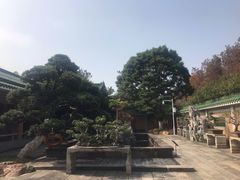 -名树园