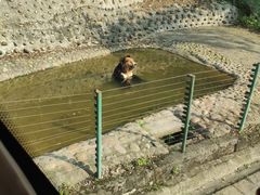 -乐和乐都主题乐园