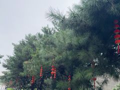 -大明幻境第一城