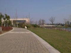 -九里河湿地公园