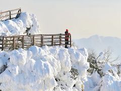 -光雾山旅游景区