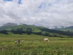 -新疆那拉提国家旅游度假区