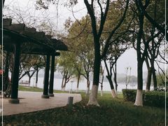 -暨阳湖生态园
