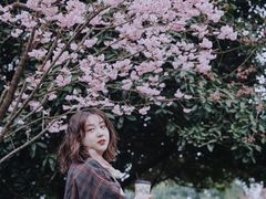 -南山植物园