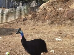 -南京金牛湖风景区