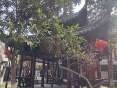 -常熟方塔园