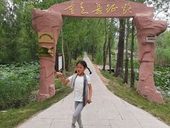 -滕州微山湖红荷湿地景区