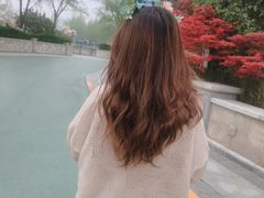 -郑州方特梦幻王国