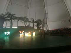 景点-白洋淀景区