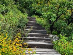 -白草畔自然风景区