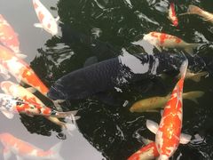 -湖鲜楼