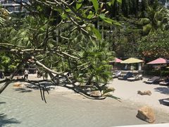 -Waterfall瀑布湾优健源(华侨城店)