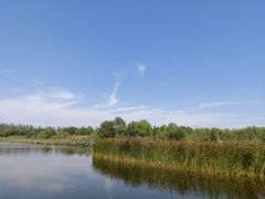 -溱湖国家湿地公园