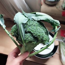 点击看大图 -伊诺摄影(徐州优选店)